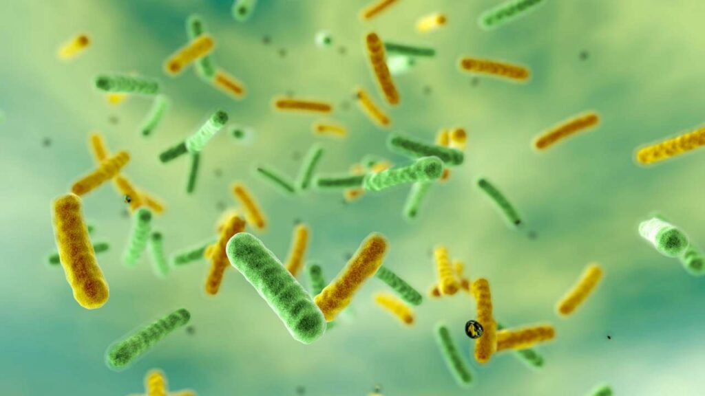 bs microbiology scope in Pakistan